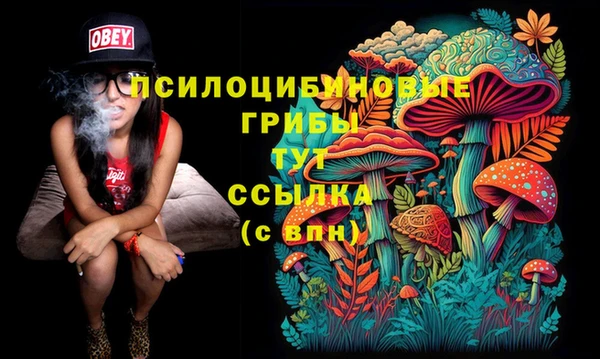 бошки Балахна