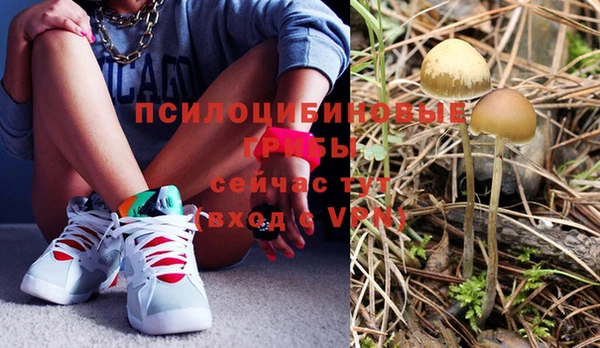 мдпв Баксан