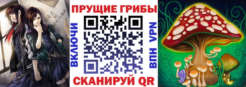 Псилоцибиновые грибы GOLDEN TEACHER  Белореченск 